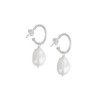 Alma ARCF240001J (1)