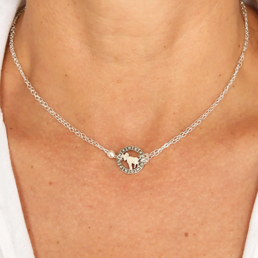 Aries CF220001J (2) Aries CF220001J (2)