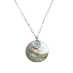 Caparazón CC2300001J (1)