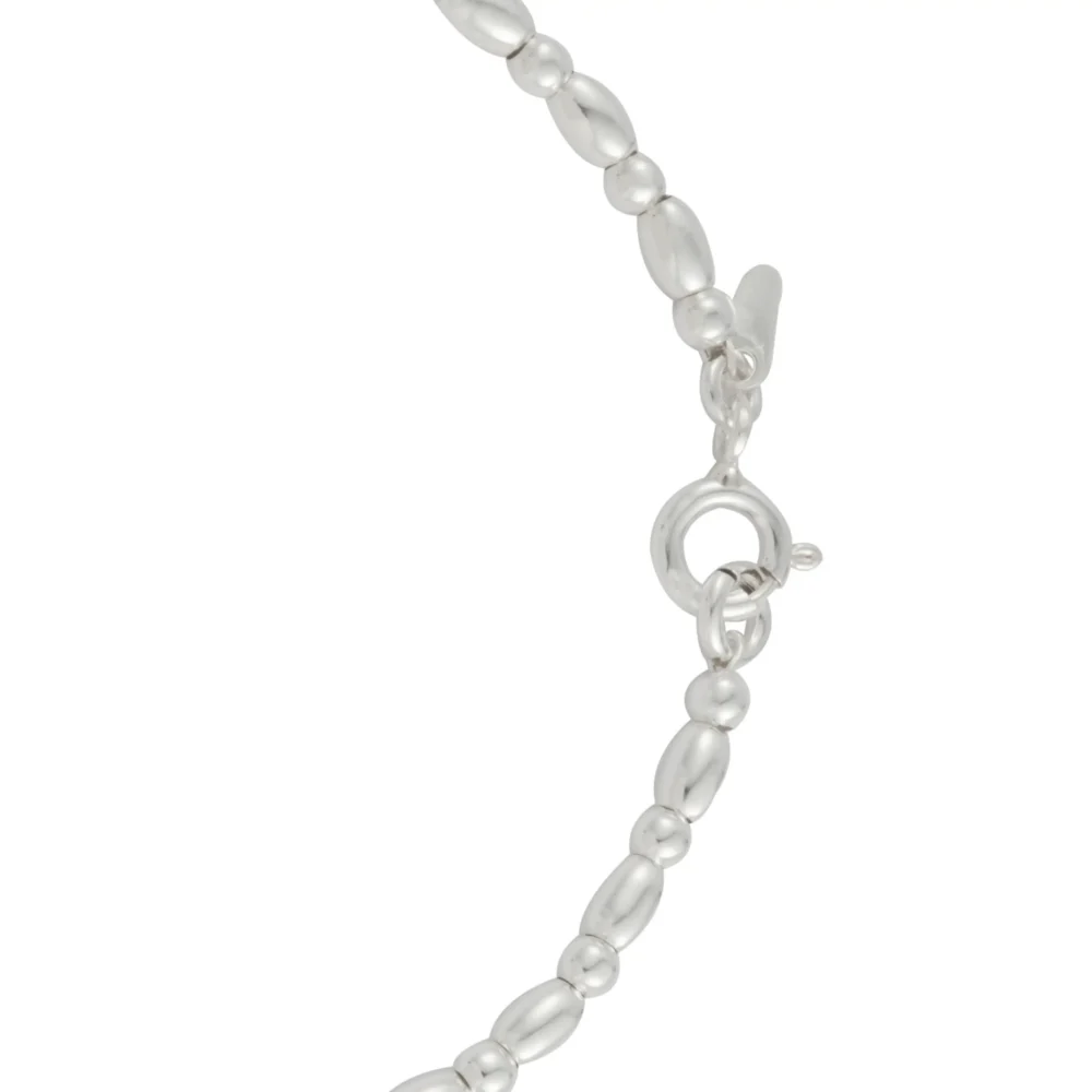 Cascabel PC2400013 (2) Cascabel PC2400013 (2)