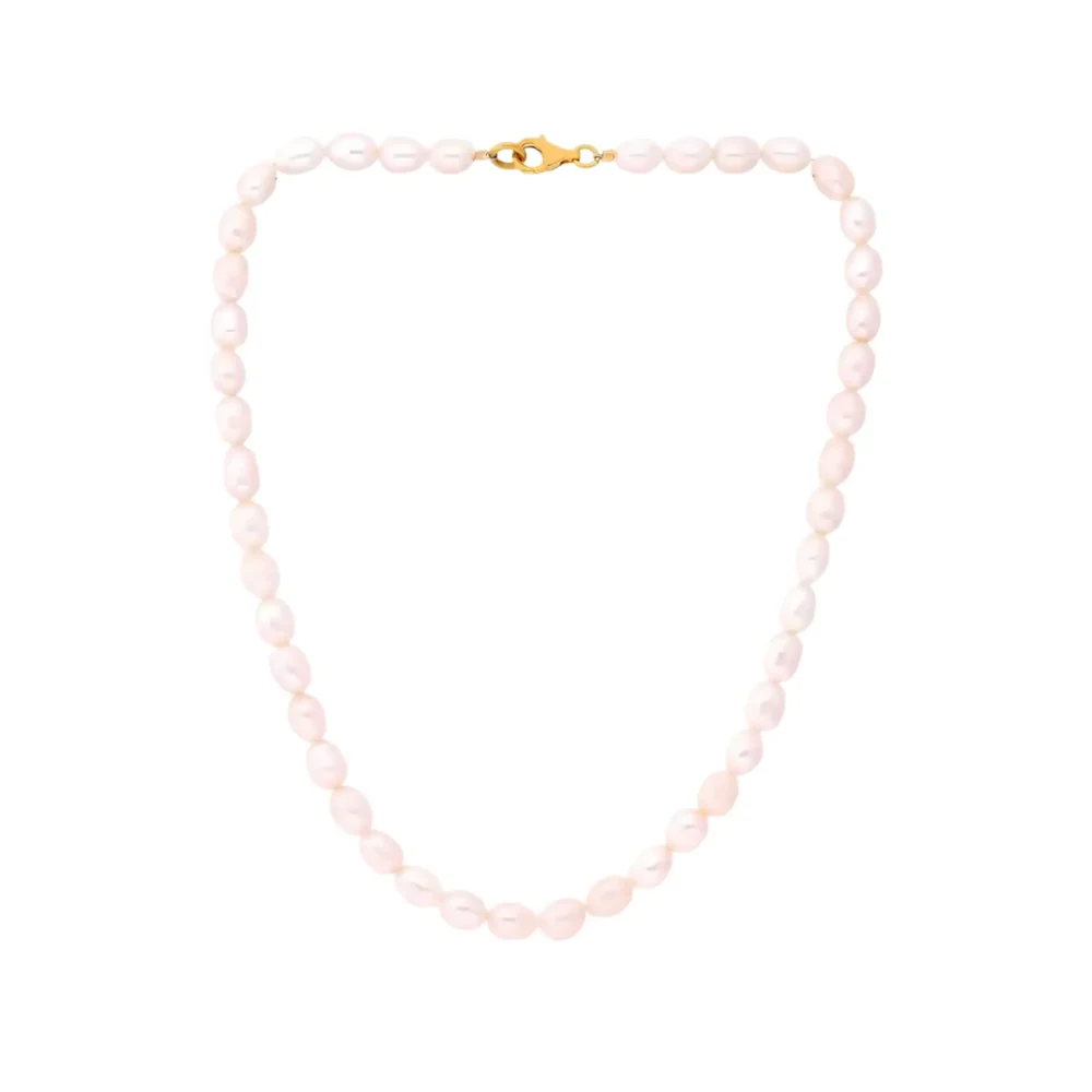 Marina CC250006 (2) Marina CC250006 (2)